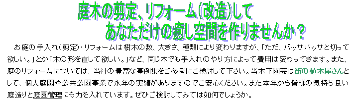 庭木の剪定、リフォーム（改造）して??　　　　　　　　　　あなただけの癒し空間を作りませんか？