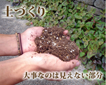 土づくり