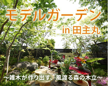 モデルガーデン