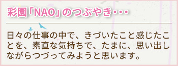 naoのつぶやき