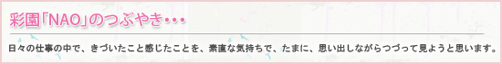 彩園「NAO」のつぶやき・・・