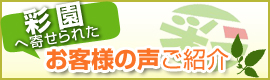 彩園へ寄せられたお客様の声ご紹介