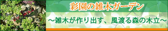彩園の雑木ガーデン