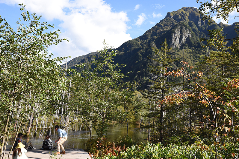 木々の豊かな山の中