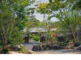 頭上を覆う枝葉と石積みが続く、リフォーム後のアプローチ