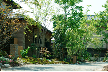 雑木と建物が一体になった庭の風景