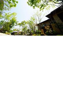 木々の間を抜ける園路の風景