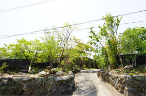 雑木の坂道と木漏れ日が印象的なリフォーム後のアプローチ