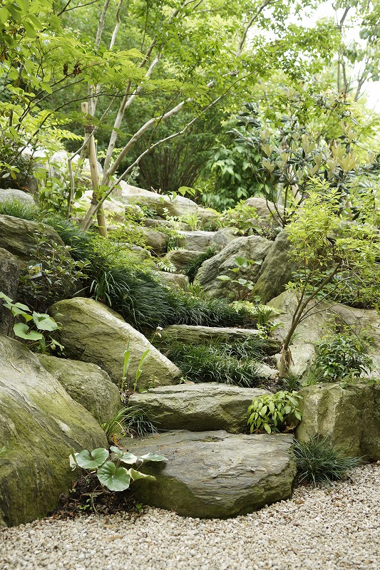 五感をめいっぱい刺激するお庭 メイン写真