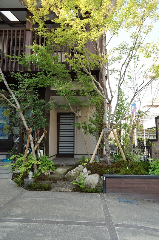 木漏れ日のさす玄関へ。 メイン写真