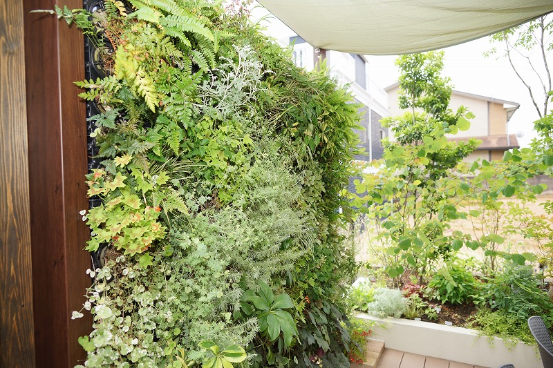 アプローチ周辺の瑞々しい植栽が彩る庭。