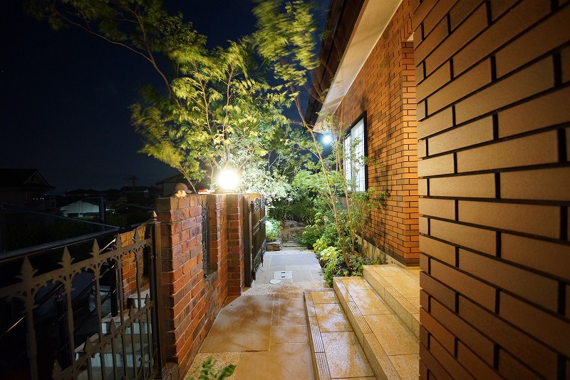 壁面緑化と植栽がライトアップされ浮かび上がる夜のシーン。