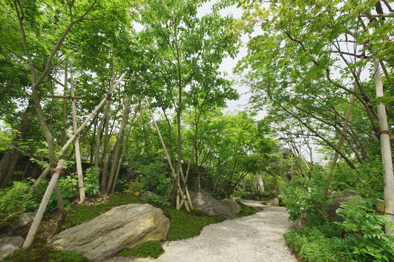 光と風の雑木の庭。 施工例2