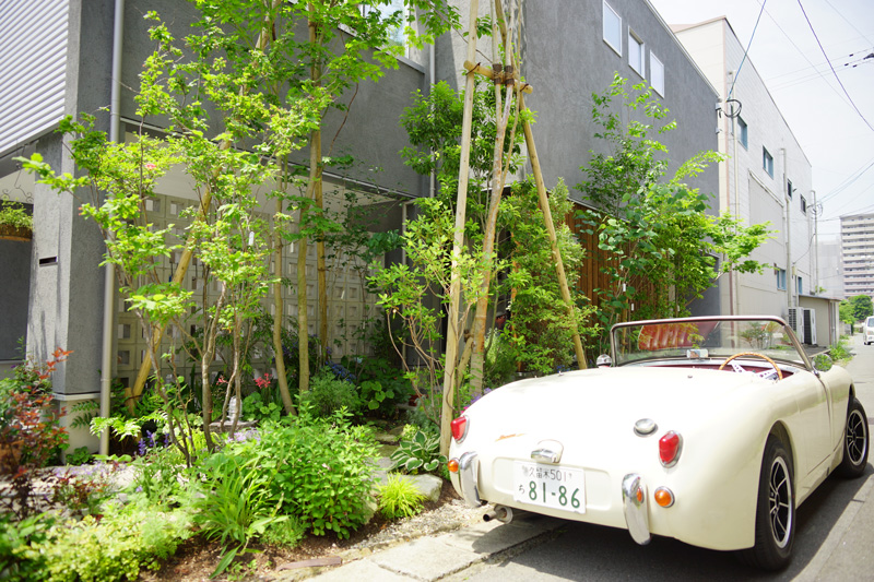 アプローチは木々の間を縫う様に。 施工例1