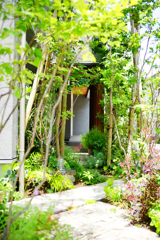 アプローチは木々の間を縫う様に。 メイン写真