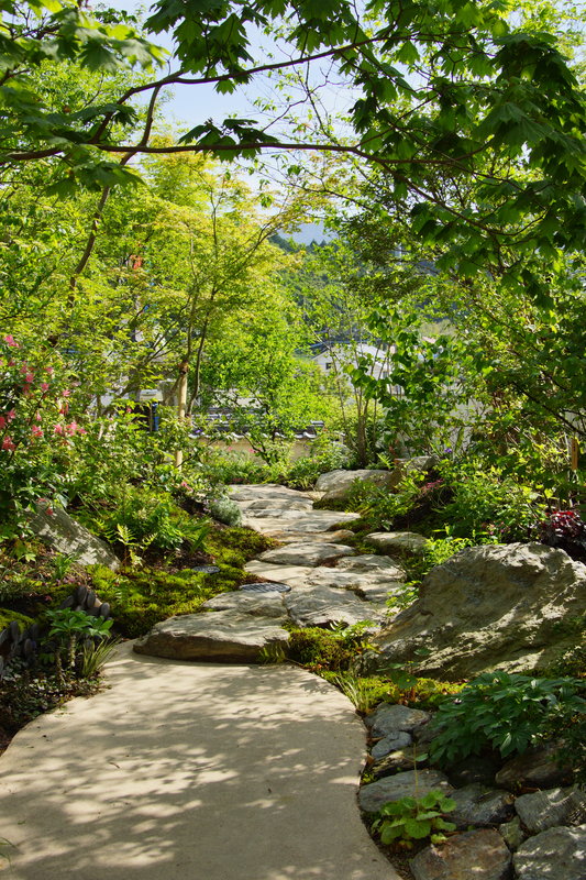 もう一度取り戻そう。心の原風景 メイン写真