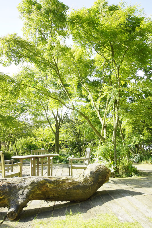 「月の峠」の山音ガーデン メイン写真