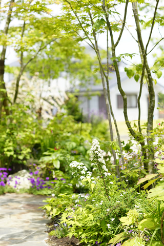 花も実も楽しめるナチュラルガーデン メイン写真