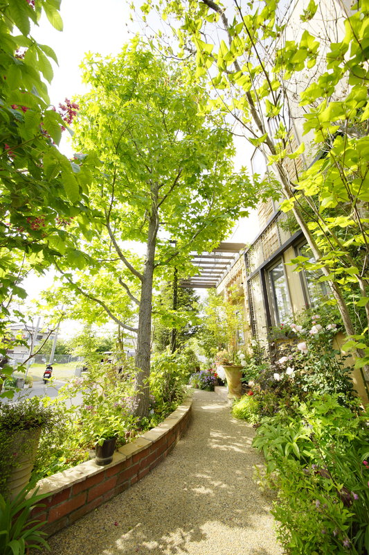 立ち止まって眺めたくなる庭 メイン写真