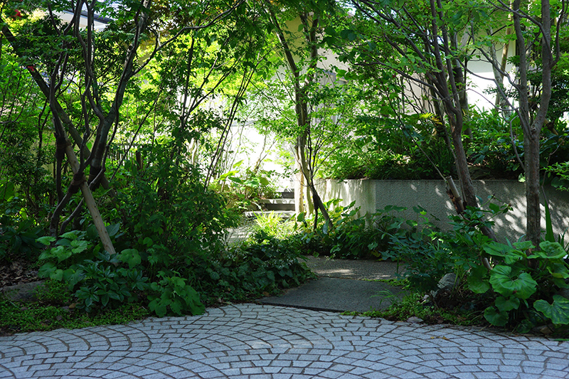 都市の杜をたのしむ