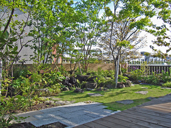 リビングから見た庭。木立と芝生、水鉢が配置された落ち着いた景色。