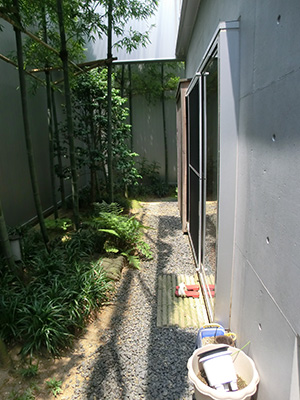 リフォーム前の孟宗竹の庭の様子（アングル2）