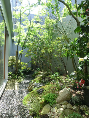 風にそよぐ雑木の枝葉と石組みが見える景色。