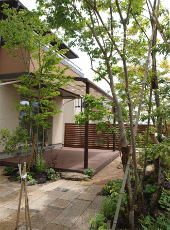 高木と足元の植栽に包まれたデッキと石畳が広がる、完成後の庭の全景。