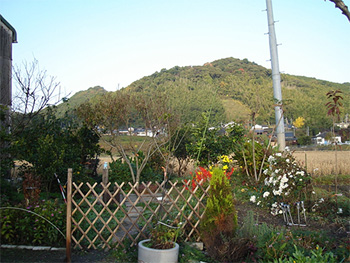 施工前の裏庭。畑と花壇が混在した素朴な庭の様子。