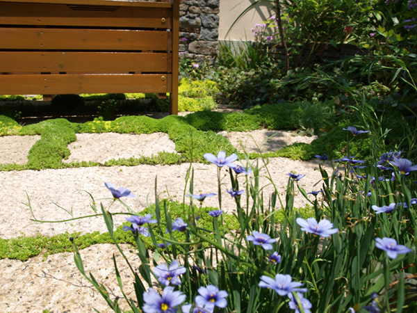 芝生と石、木製フェンスの足もとに咲く可憐な草花。