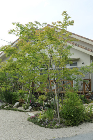 素朴な散策路のある庭 メイン写真