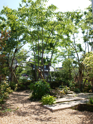 雑木の優しい庭 メイン写真