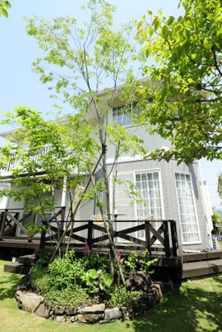 レンガ敷きのステージ～小鳥の憩い場～ メイン写真