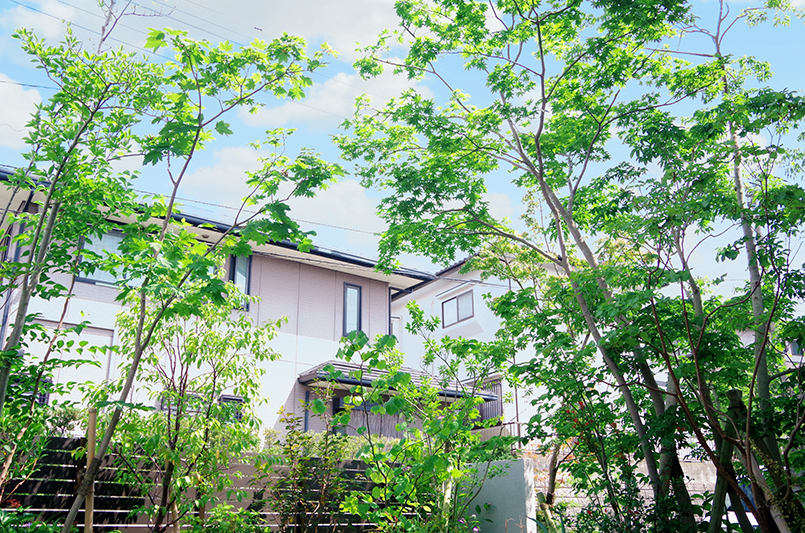 庭木を眺めて過ごす日常