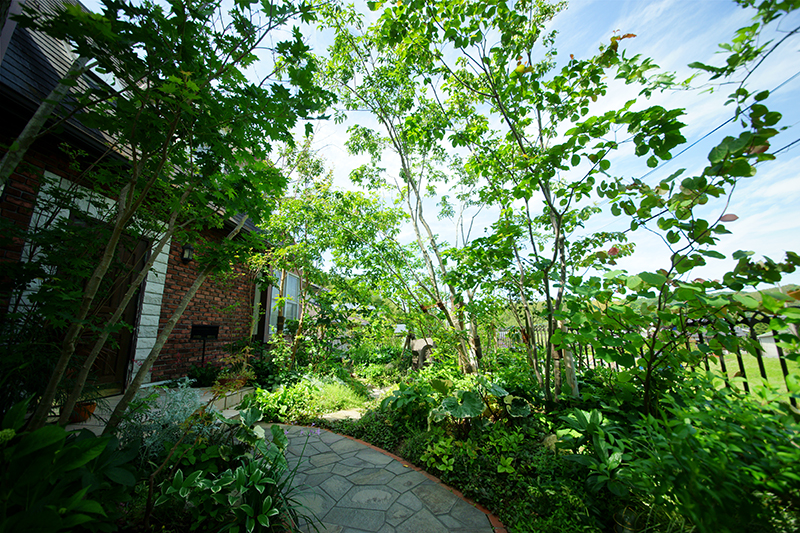 草木の生い茂るレンガの玄関先 改修後3
