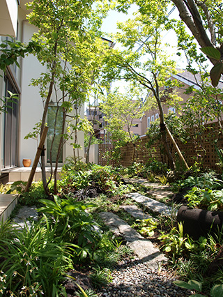 自然浴の庭造り メイン写真