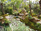 苔庭。森の散歩道 施工例1