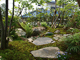 苔庭。森の散歩道 施工例2