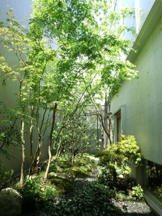 都会の中の雑木林 メイン写真