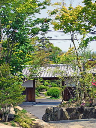森木立にとけこむ住まい メイン写真
