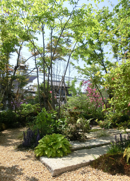 雑木と下草に包まれた、緑豊かな庭の施工後全景。