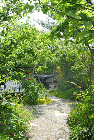 緑に包まれた園路と奥のカフェテラスの様子。