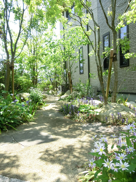 苔と雑木に包まれた、森の散歩道のような完成後の庭。