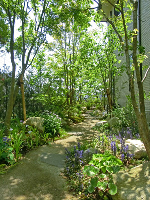 視線が奥へ抜ける雑木の庭。細い幹が重なりスケール感を演出している。