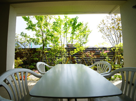 ダイニングから庭を眺めた様子。窓の外に雑木と壁面が広がる心地よい景色。