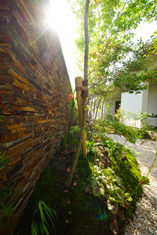 石畳と雑木が続くアプローチ。奥へと誘う庭の風景。