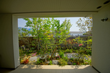 建物脇に続く雑木の庭。光と影が心地よい通り抜け空間。