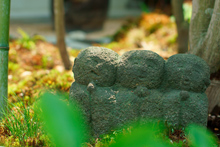 建物と庭をつなぐアプローチの別カット