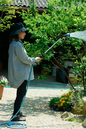 じょうろで水やりをする様子