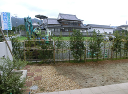 施工前のリビング前の庭。生垣と土の地面だけの殺風景な眺め。